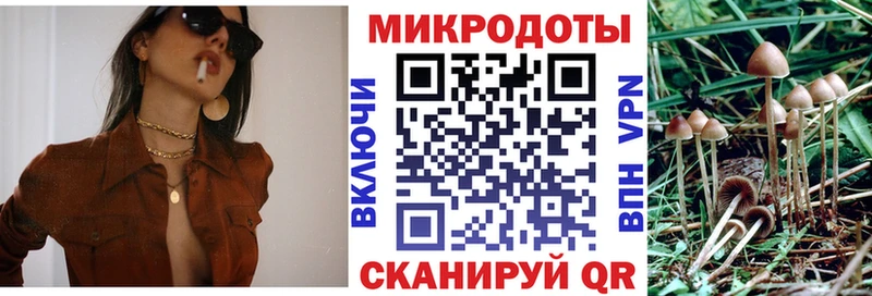 что такое   Краснослободск  Псилоцибиновые грибы прущие грибы 