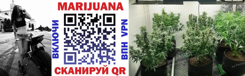 купить наркотики цена Краснослободск МАРИХУАНА SATIVA & INDICA